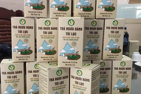 Trà ngưu bàng túi lọc